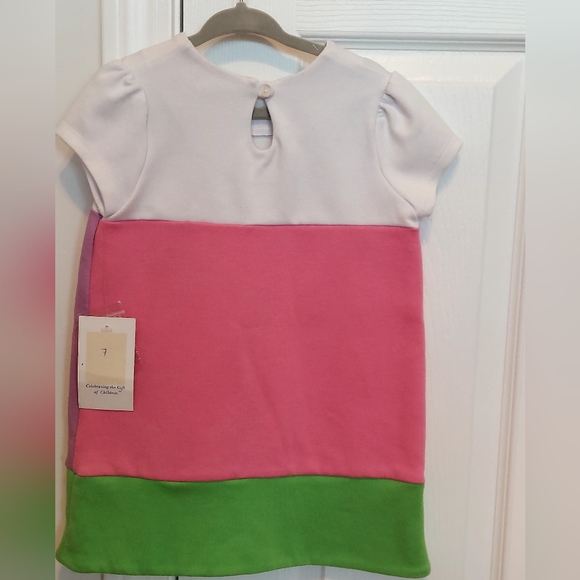 Hartstrings Dress Girls 2T A-line Ponte Knit Color Block Multicolor Pink Purple - Picture 8 of 10